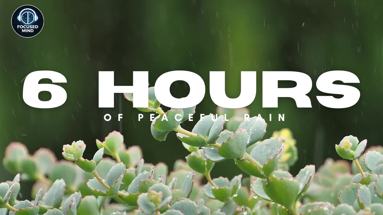6 Hours of Gentle Rain 🌧️ Sleep, Relax, and Unwind