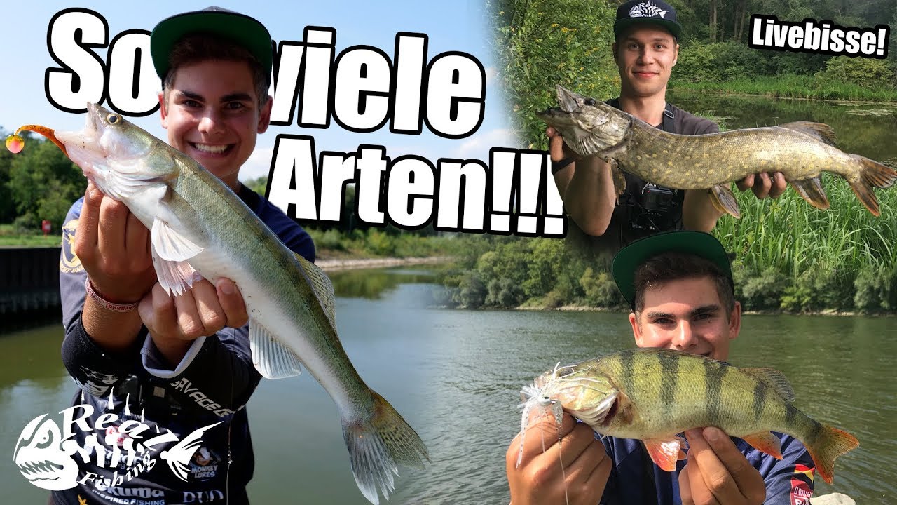 Wir fangen sie ALLE // Unglaubliche ARTENVIELFALT beim Spinnangeln - Ft. Sebi_LMAB