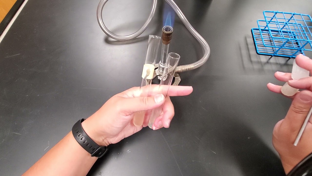 Microbiology Aseptic Transfer Broth Tube to Agar Slant