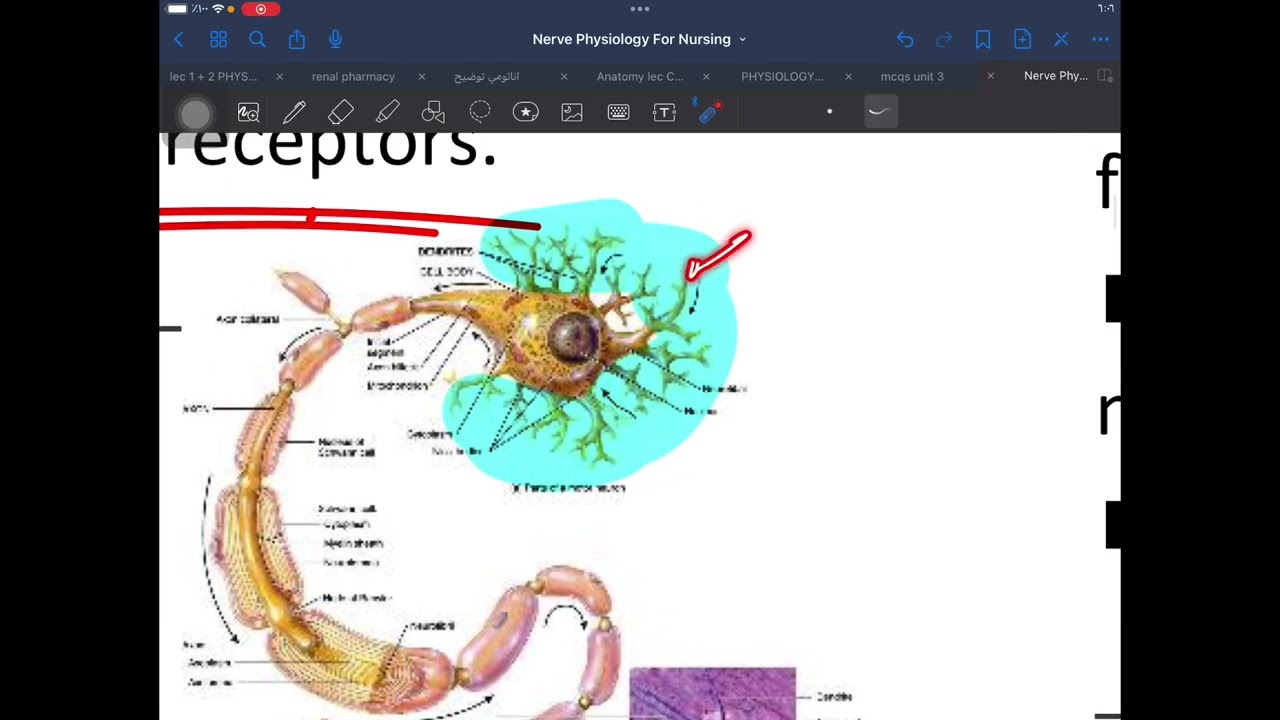 Chapter 2 physiology for Nursing part 1 