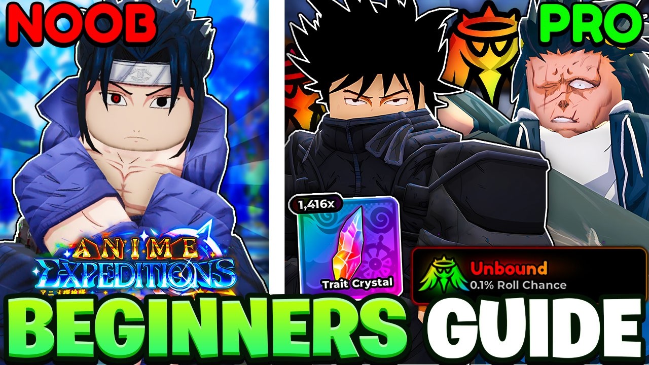 The *BEST* Beginners Guide to Anime Expeditions!