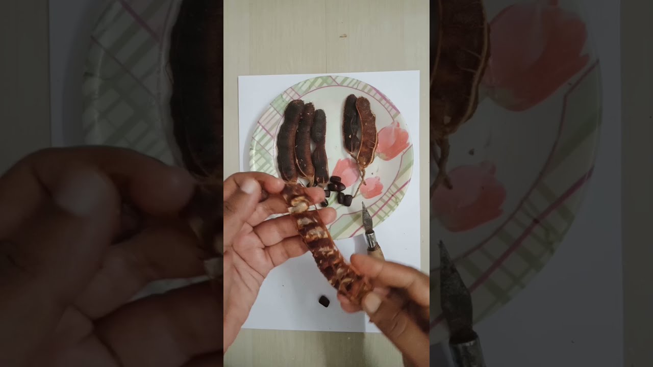 Tamarind seed removing/How to clean and store tamarind 