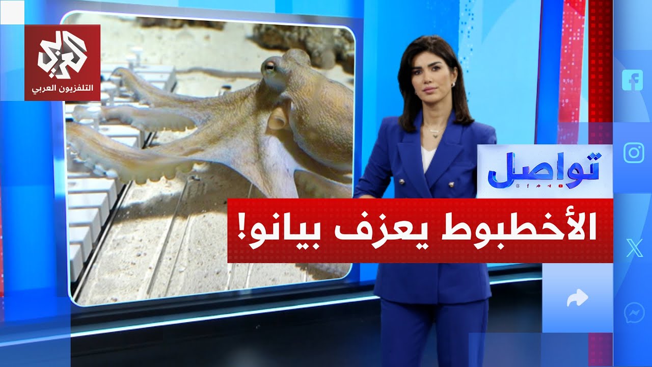 مشهد غريب لأخطبوط يعزف على البيانو!│ تواصل