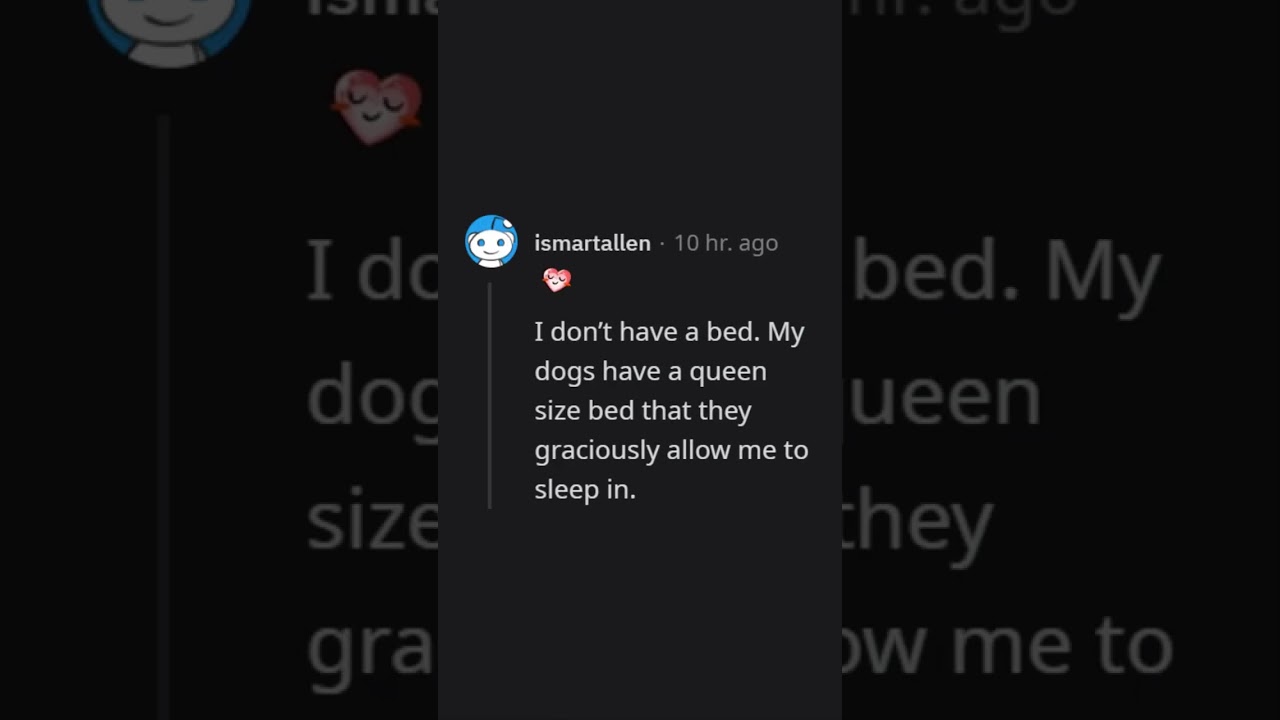 Dogs sleeping in the bed with you: YES or NO? - r/askmen #shorts