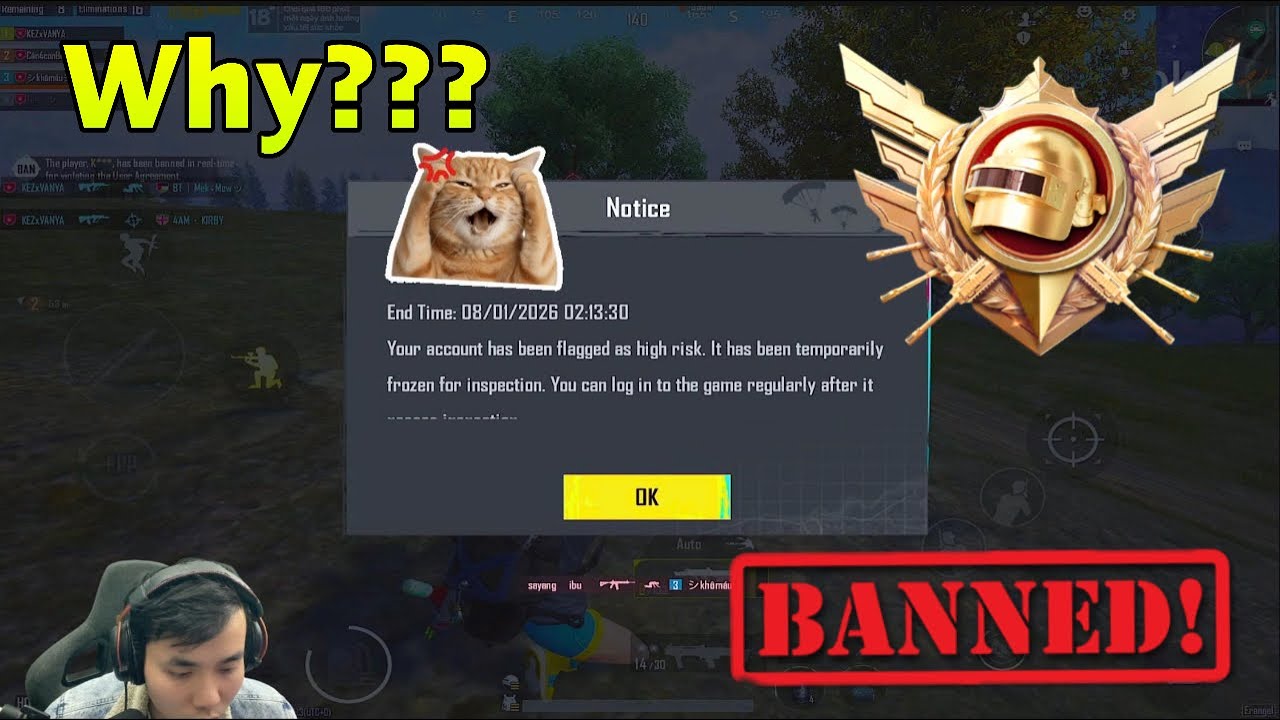 Ultimate Royale Ranked: I was finally banned