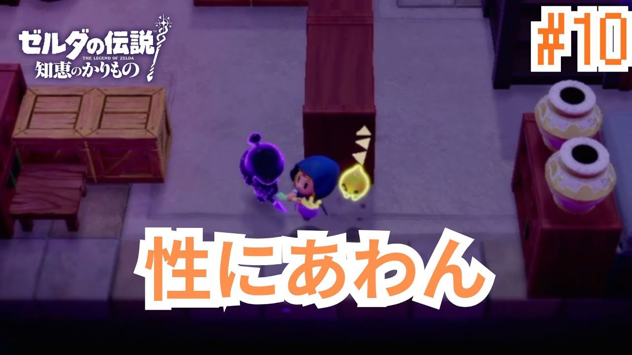 こそこそ生きるのは性に合わないんだよ【#ゼルダの伝説知恵のかりもの  #10 】