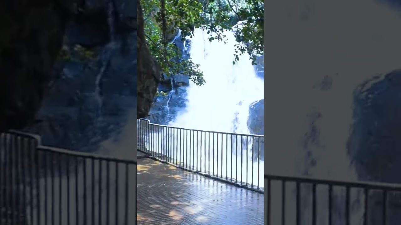 sanaghagara waterfall keonjhar odisha #shorts #bulariodia #sanaghagara #odiavlog #odiavlogger