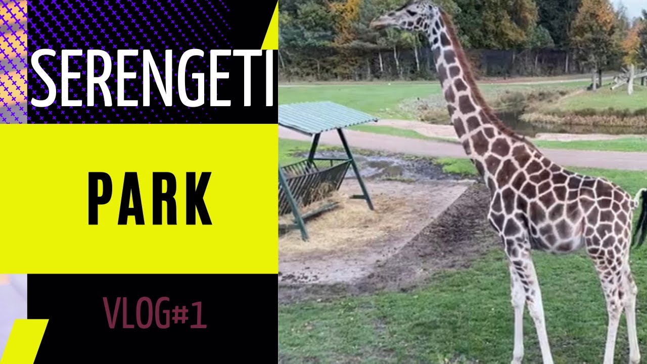 Serengeti Park 2022 - Ein Vlog #1 der keiner ist :)