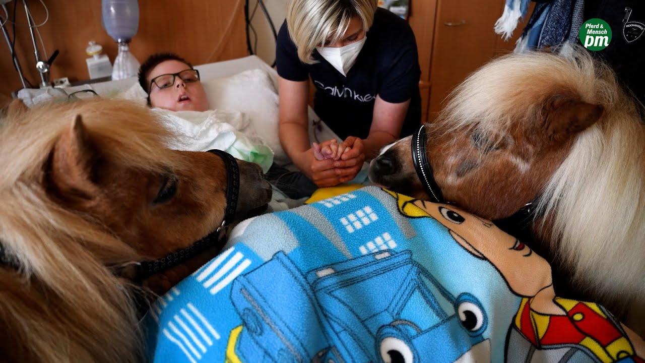 Ponys besuchen schwer erkrankte, beatmete Kinder im Krankenhaus | Pferde bauen Brücken
