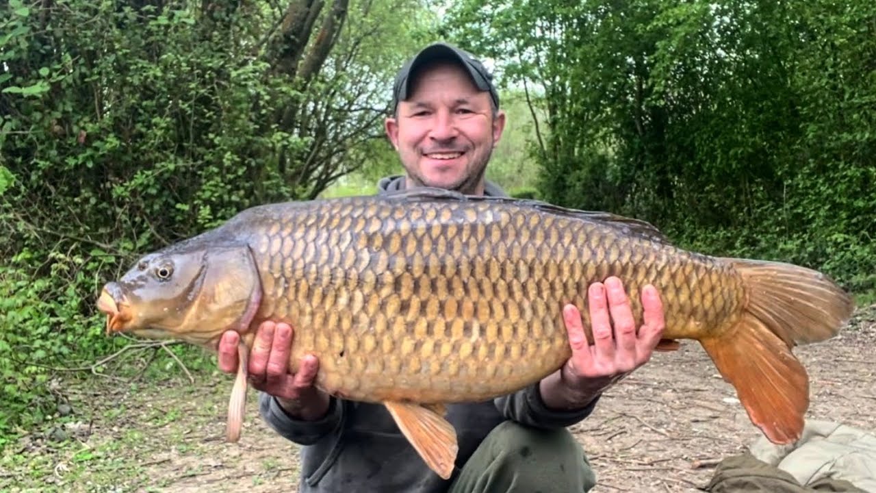 Birds green fishing lakes. day ticket fishing in Essex. Carp fishing.