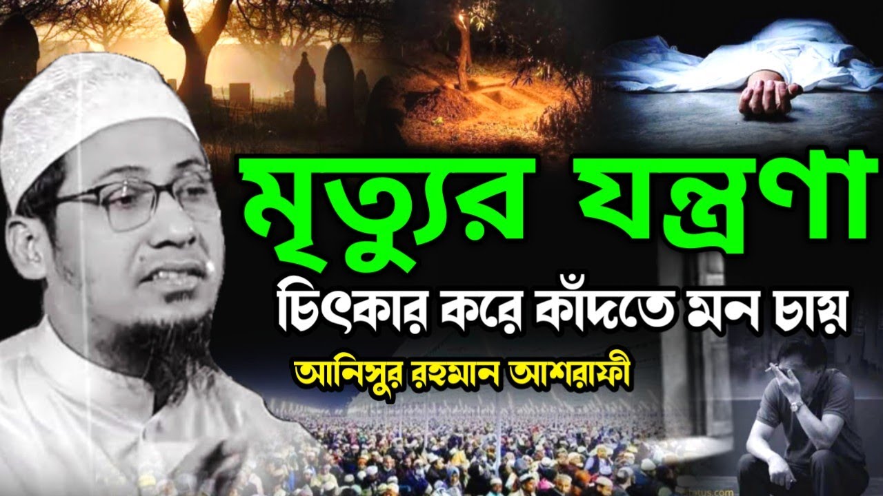 মৃত্যুর যন্ত্রণা | মুফতি আনিসুর রহমান আশরাফী নতুন ওয়াজ ২০২৬ muftianish Roman Ashrafi new Bangla waz