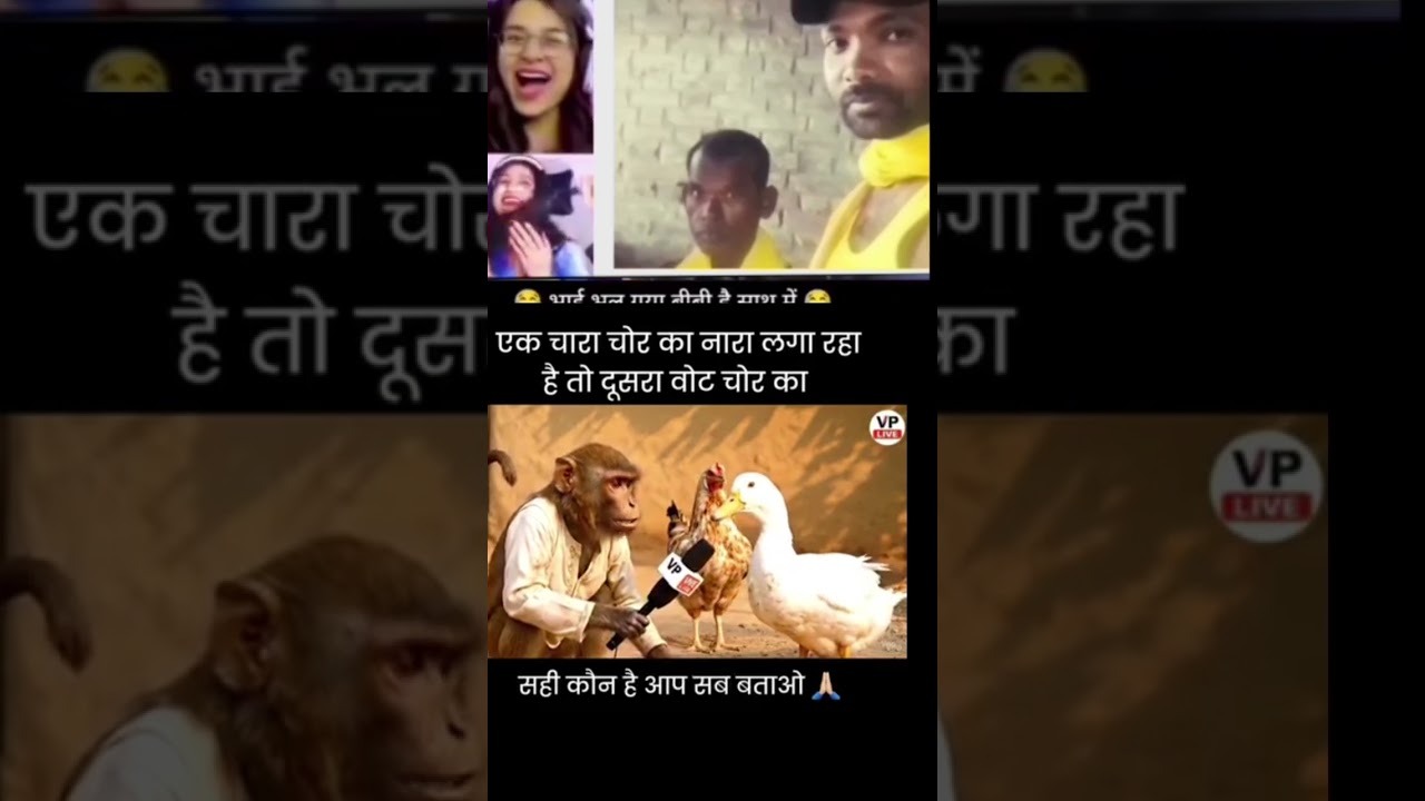 #funny  🦆🐒#BiharElectionComedy #FunnyVideo #Election2025 #MonkeyDuckTalks #BiharPolitics #ComedyReel