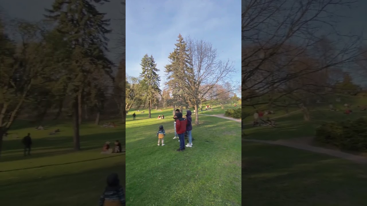 #cherryblossom#highpark#🇨🇦