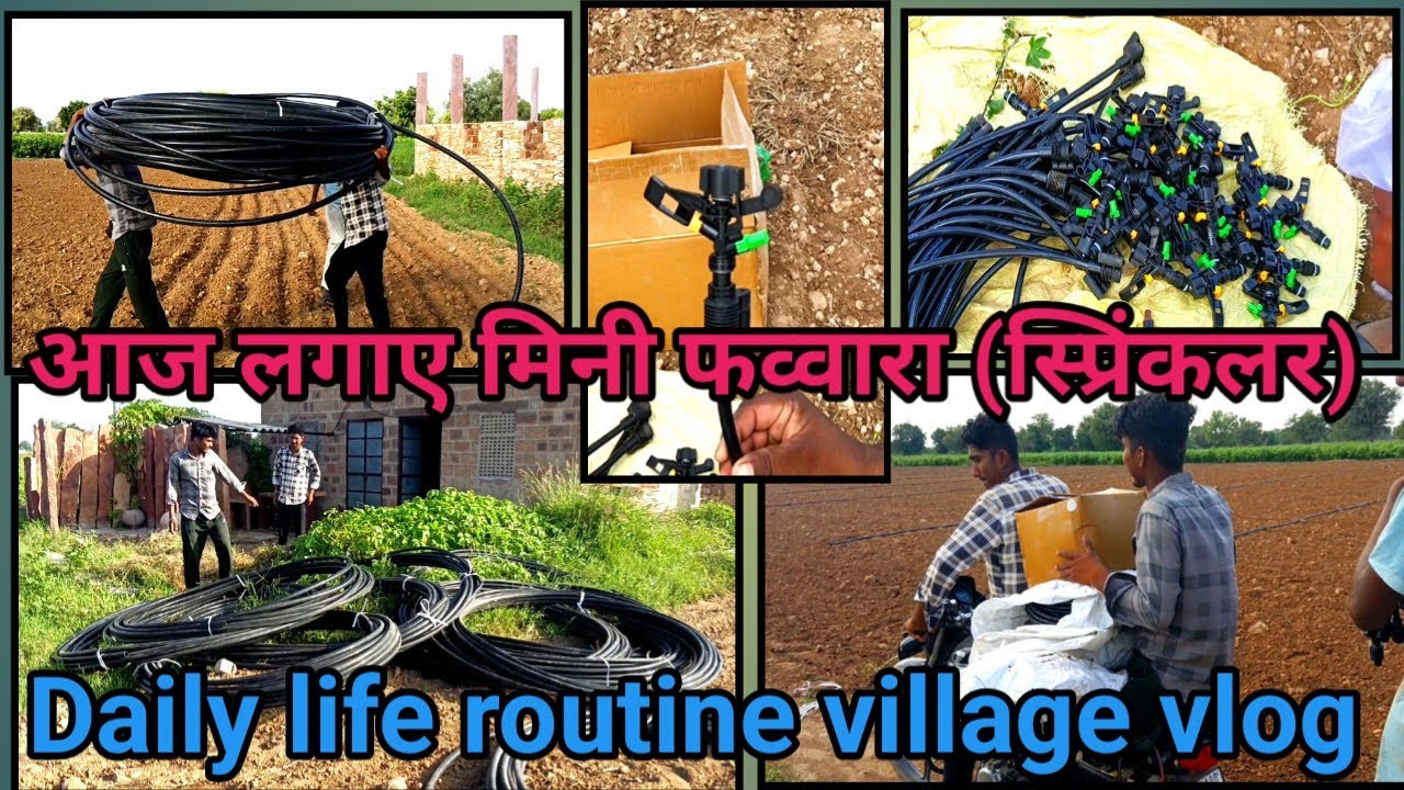 Khet me lagaye mini sprinkler मिनी फव्वारा कैसे लगाएं daily life routine village vlog @farminglife