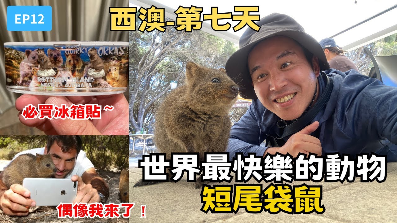 【西澳EP12】羅特尼斯島一日遊，短尾袋鼠我來了～模仿費德勒的拍照法^^｜媽手哥媽手嫂（第七天)