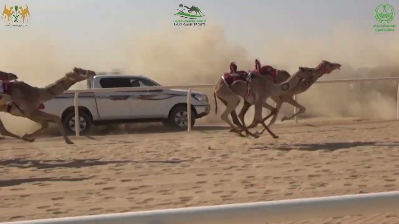 ميدان شرورة- حقايق بكار مسافة 4 +كيلو كأس امارة منطقة نجران+سيارة رونق بندر ملفوف ال عامر
