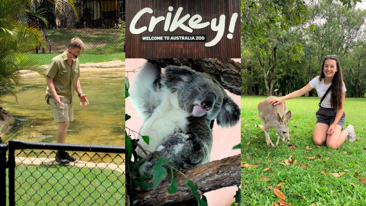 I went to the AUSTRALIA ZOO, aka Steve Irwin Zoo & I saw Robert Irwin 🐊