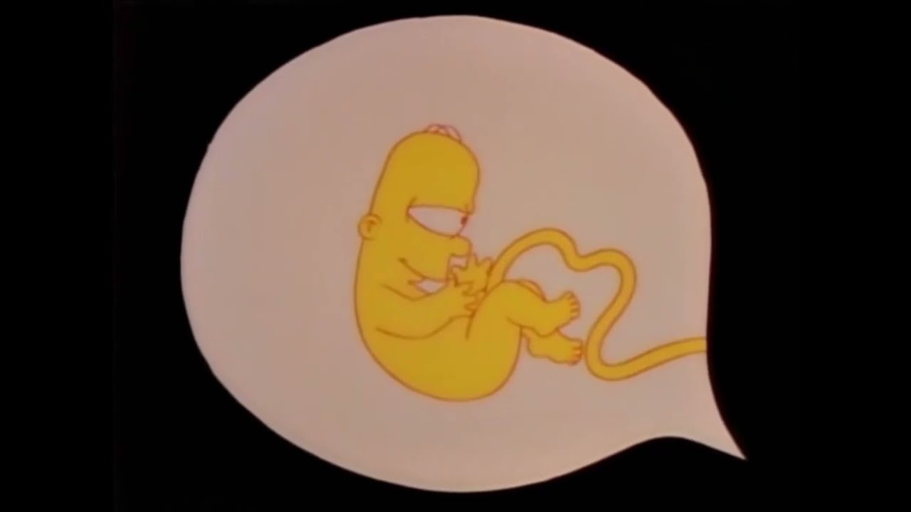 Le Scene Più Divertenti Dei Simpson #2