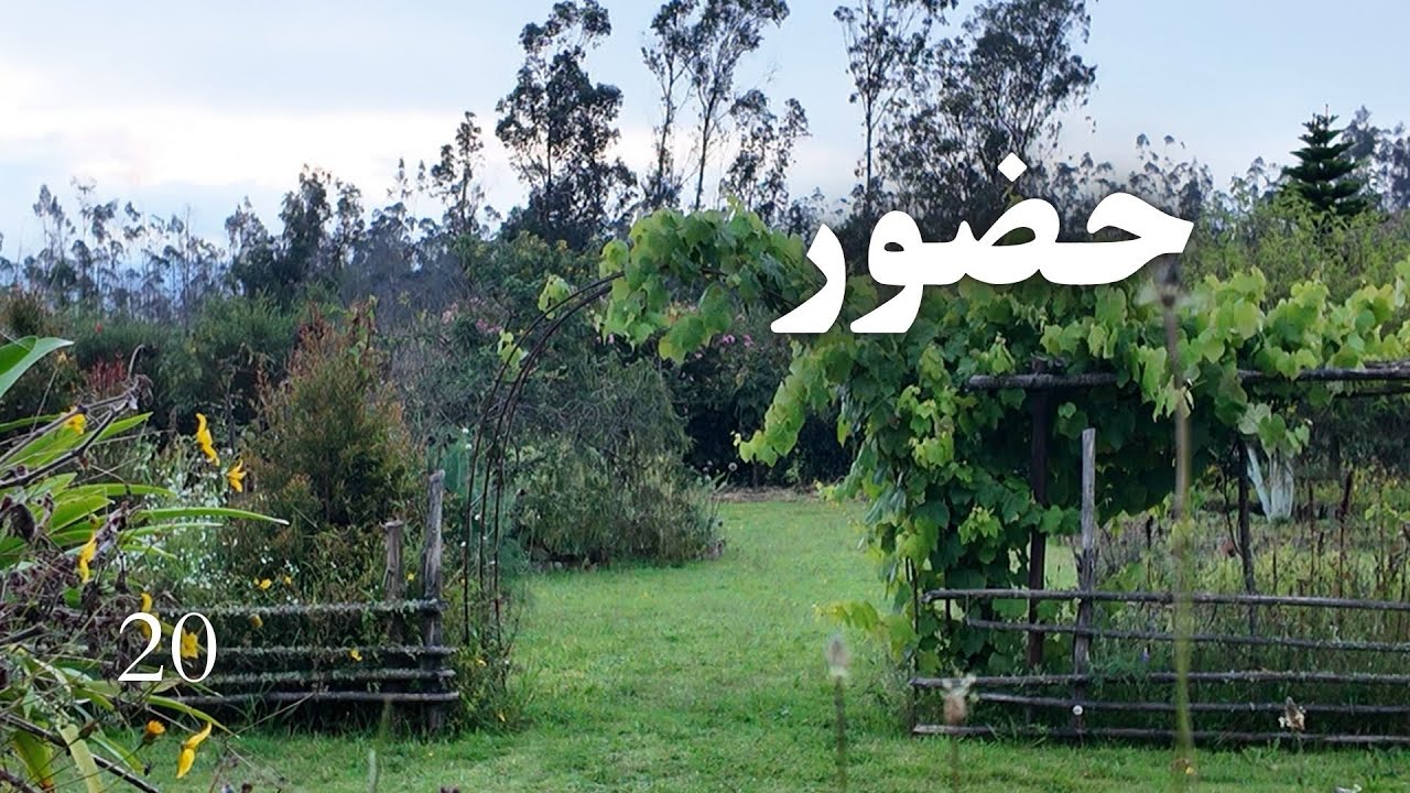 حضور | دیدن پیش از تکرار