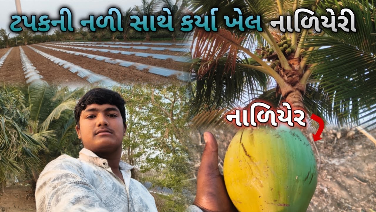 ટપકની નળી સાથે કર્યો દેશીજુગાડ