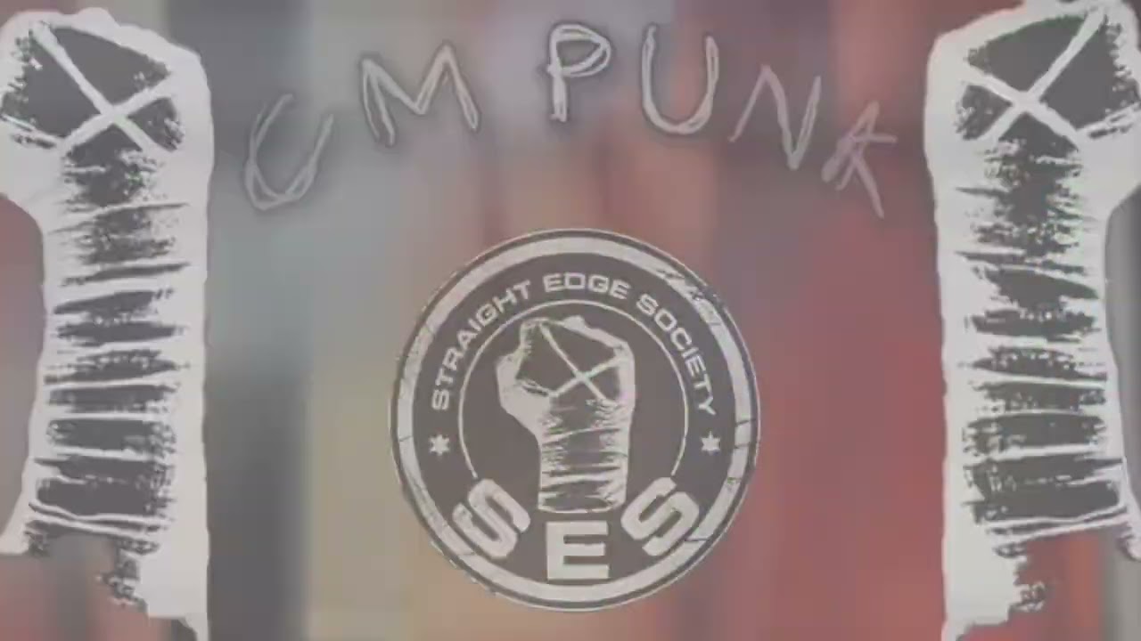 WWE2K25: CM Punk 10’ Custom Titantron Graphic - “This Fire” (Free For All)