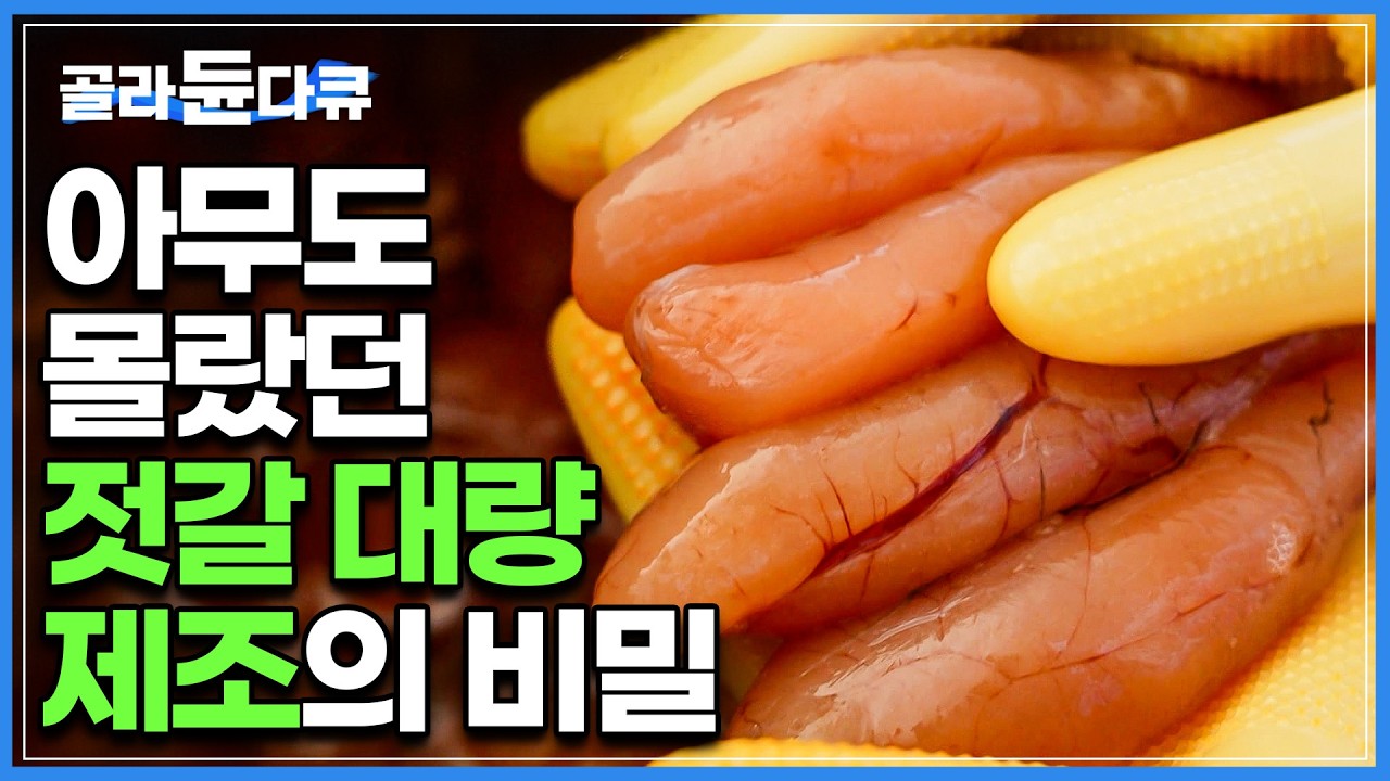 맛있는 데에는 다 이유가 있었다. 젓갈이 밥도둑이 될 수밖에 없는 이유｜밥도둑이 아니면 억울할 정도로 까다로운 제조 과정｜새우젓부터 명란젓까지 젓갈 생산 공장｜극한직업｜#골라듄다큐