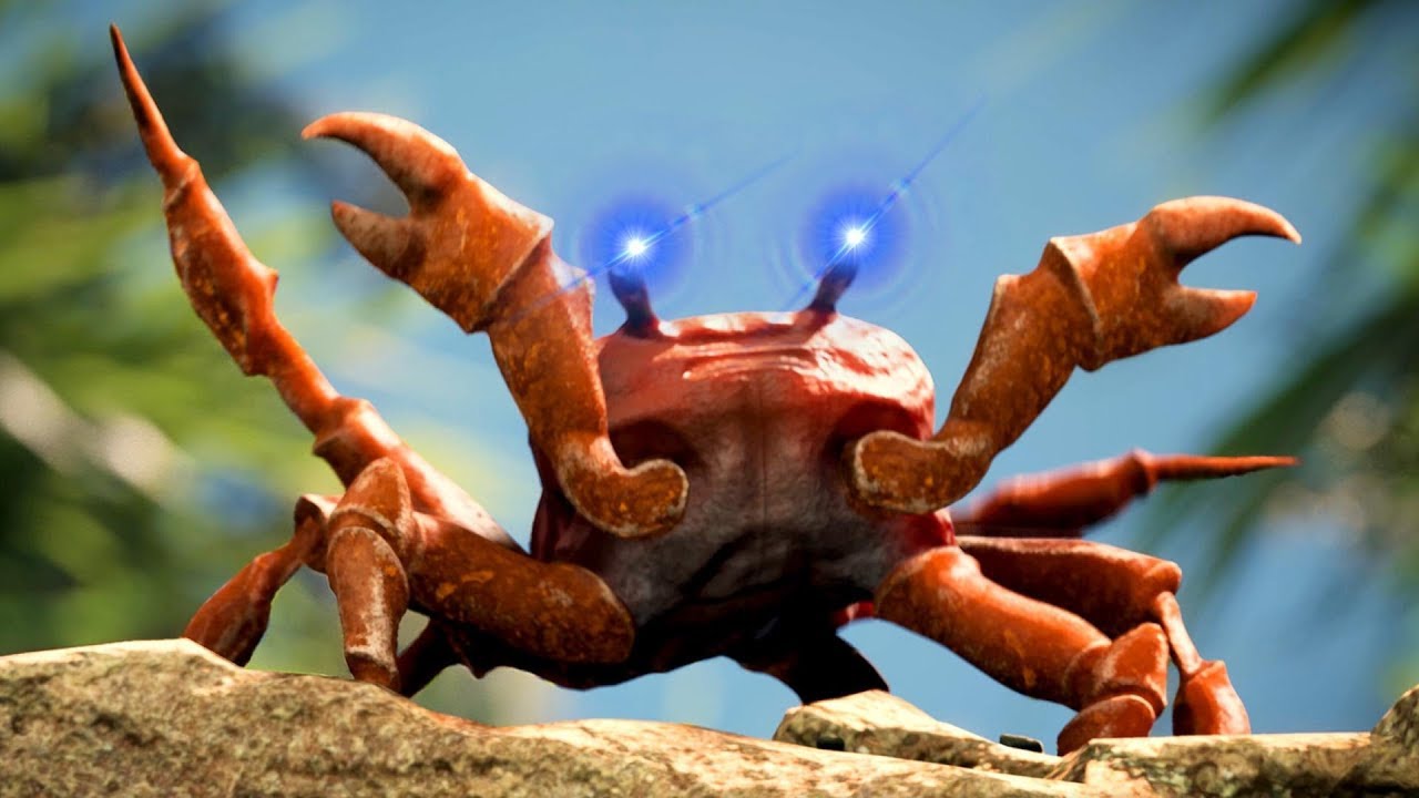 Crabs dancing to MO BAMBA