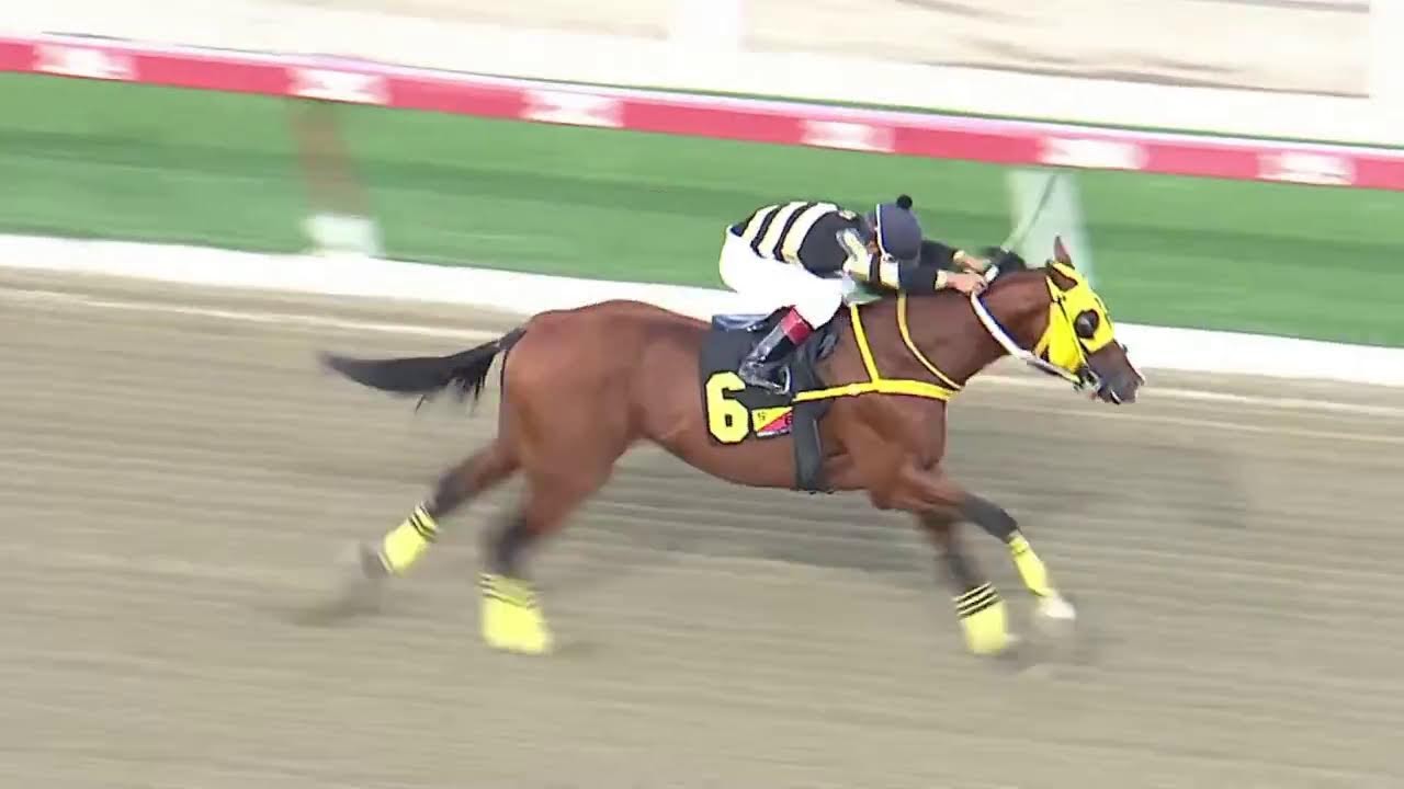 🔴 EN VIVO | REUNIÓN 12 🏇 | 13 Carreras desde La Rinconada | Así se juega el famoso 5 y 6 15 de marzo