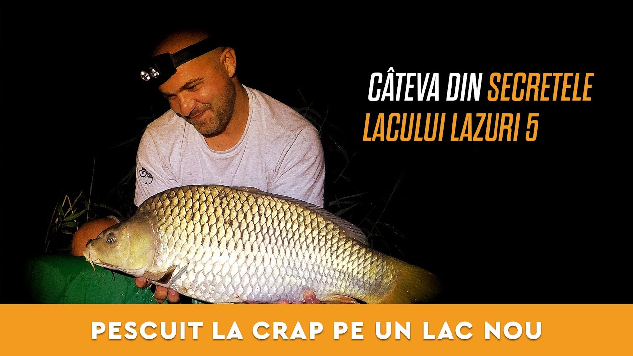 Pescuit la crap,  voie buna si prezentare NEW LAKE LAZURI 5!