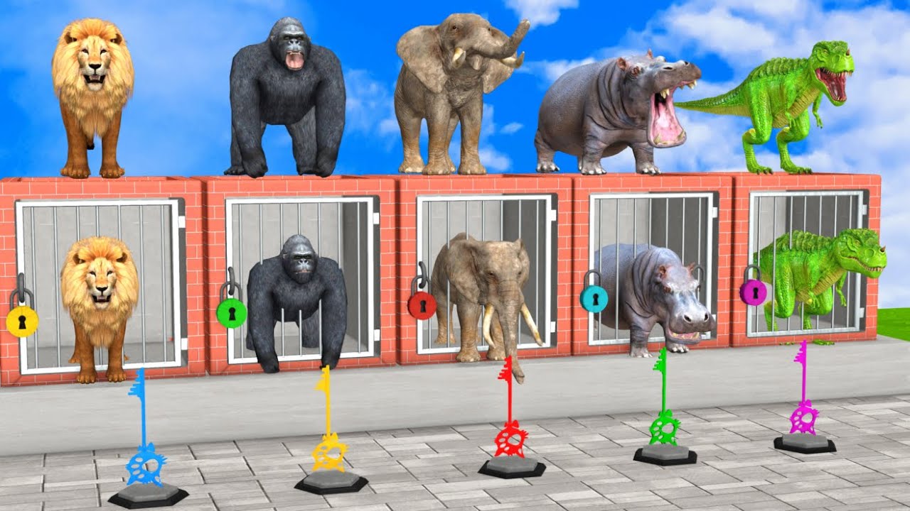 Long Slide Game with Cow Elephant Gorilla Hippopotamus Tiger - 3d Animal Game - Funny 3d Animals