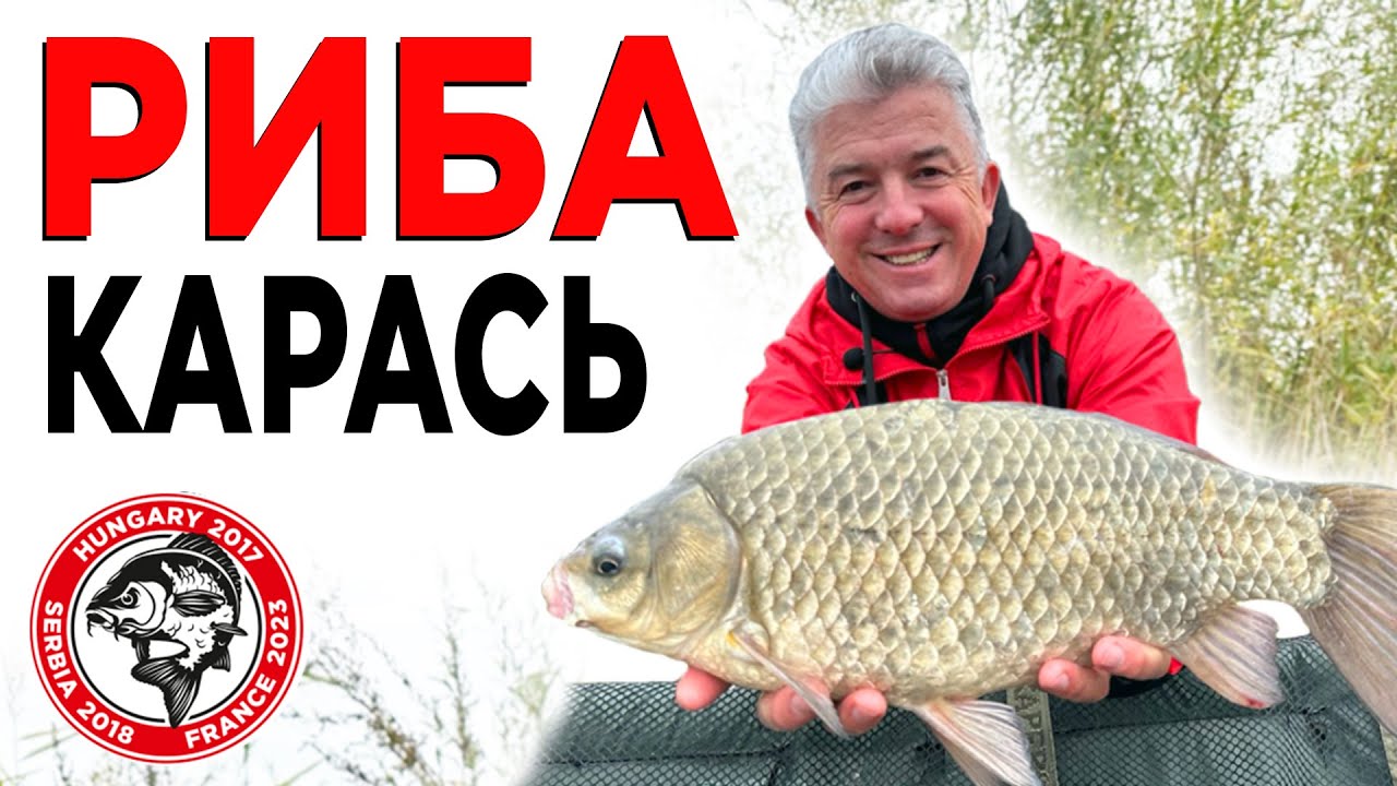 Карасі-монстри крадуть палки! Насадка і корм на карася! Рибалка на карася навесні!