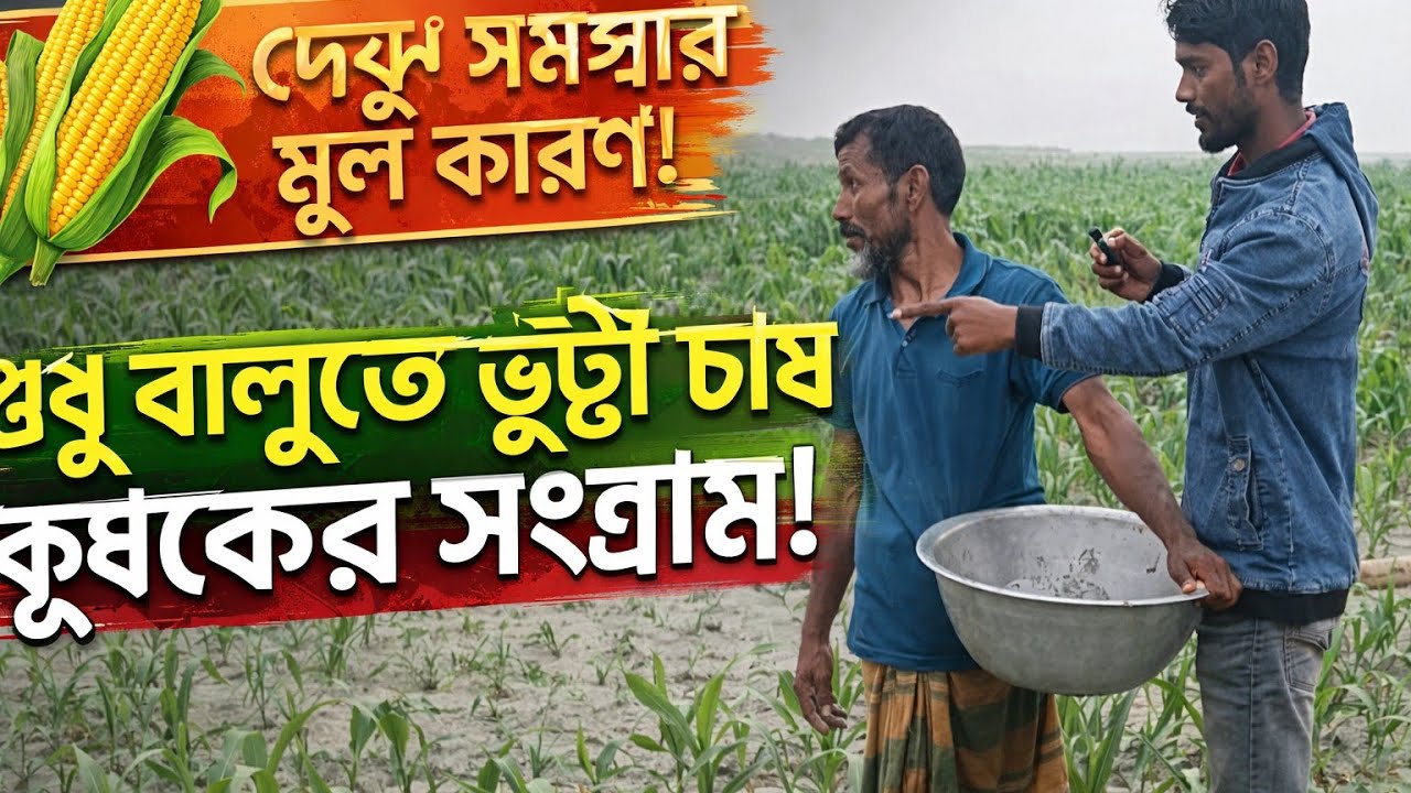 গ্রামের ভুট্টা খেতে কৃষকের সাথে সমস্যা ও বাস্তব গল্প শুনছি 🌽 | Bangla Village Life