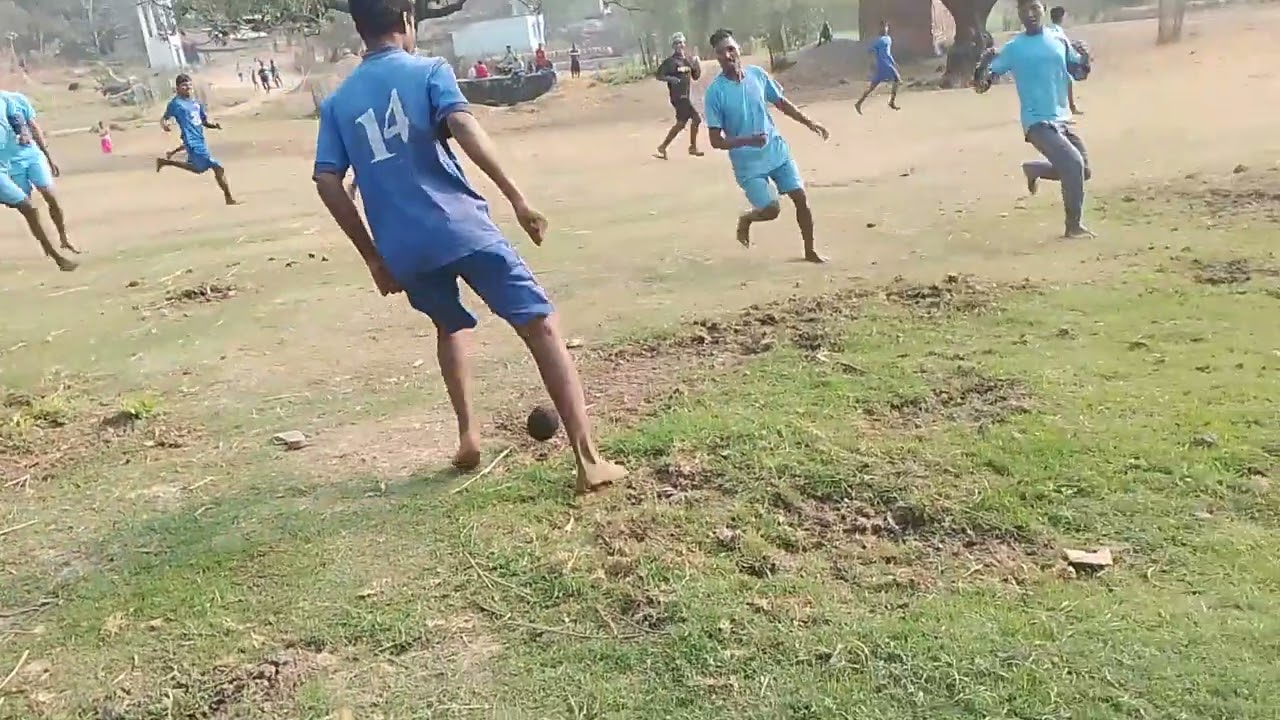Black  tiger one one V Kingfisher Potka   , Dumria  ato.