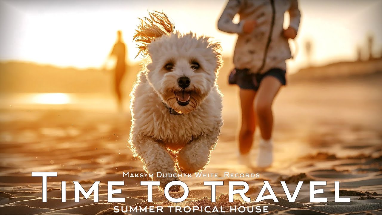 Time to travel. Background Summer Tropical music for travel video