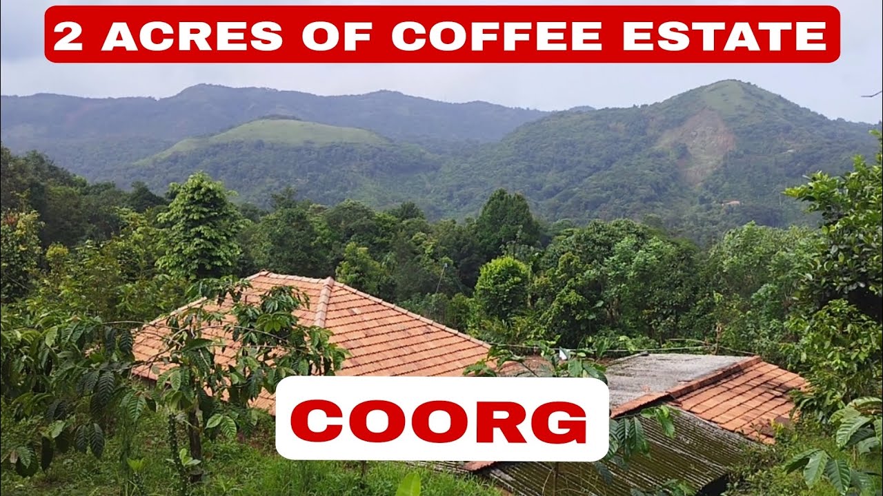2 ACRES OF COFFEE ESTATE FOR SALE IN COORG(MADIKERI) 9483875313