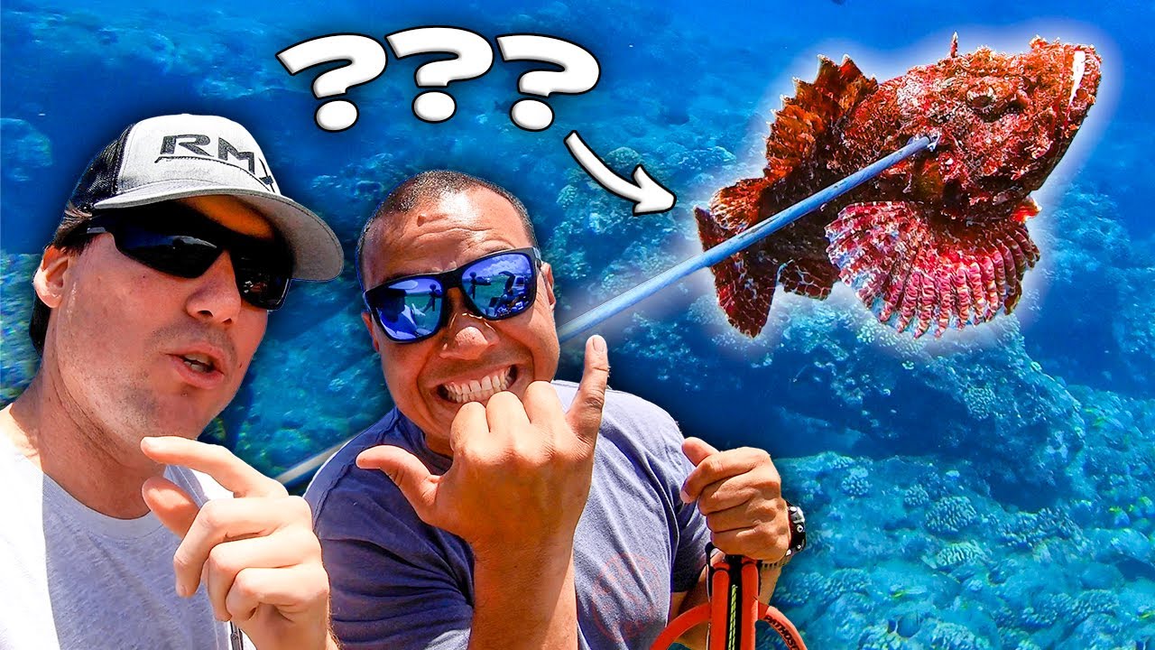 Deep spearfishing Hawaii for Ukus (found a delicious rare fish)