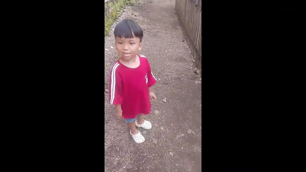 Penelitian Kandang Ayam 😅😅 #funny #lucu #cute #anak #prabu #fyp #viral 