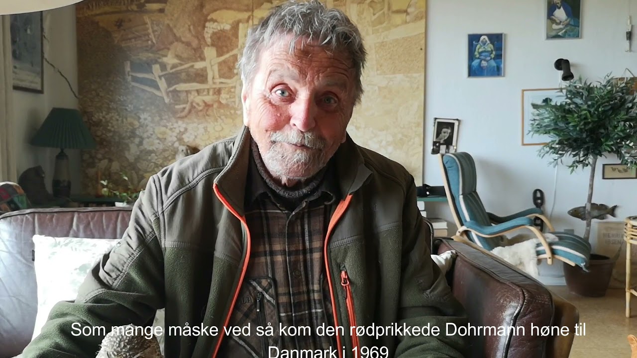Dus med dyrene Høns (Den sidste video optagelse med Poul Thomsen❤️).