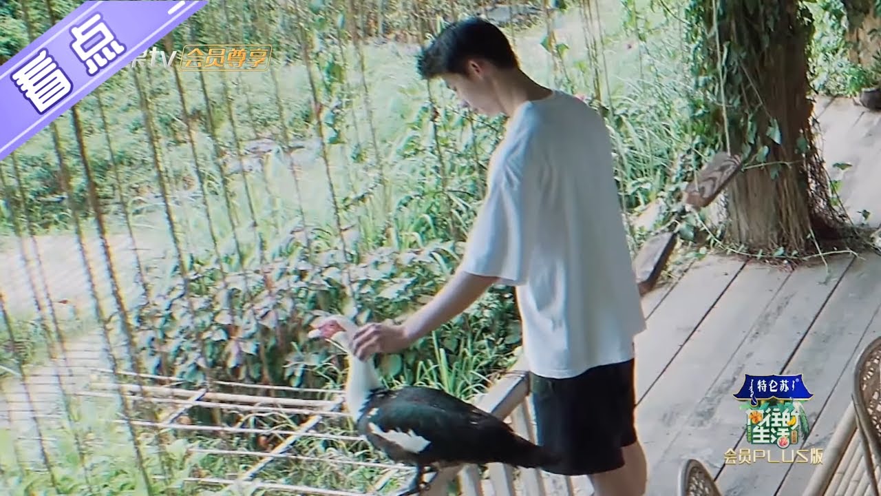 未播花絮：彭昱畅为何“自暴自弃”？许光汉也给彩灯续上按摩服务《向往的生活4》 第11期 Back to field S4【芒果TV生活风尚频道】