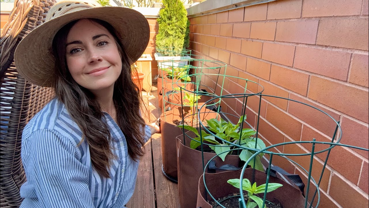 Creating A Garden Border With Giant Dahlias & Floret Zinnias! This Is Going To Be Stunning