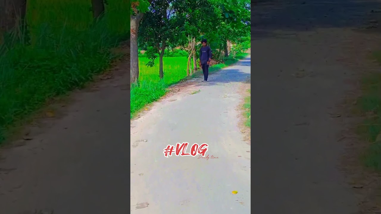 camera vlog  nikon camera #viral #short #video #trending #virals