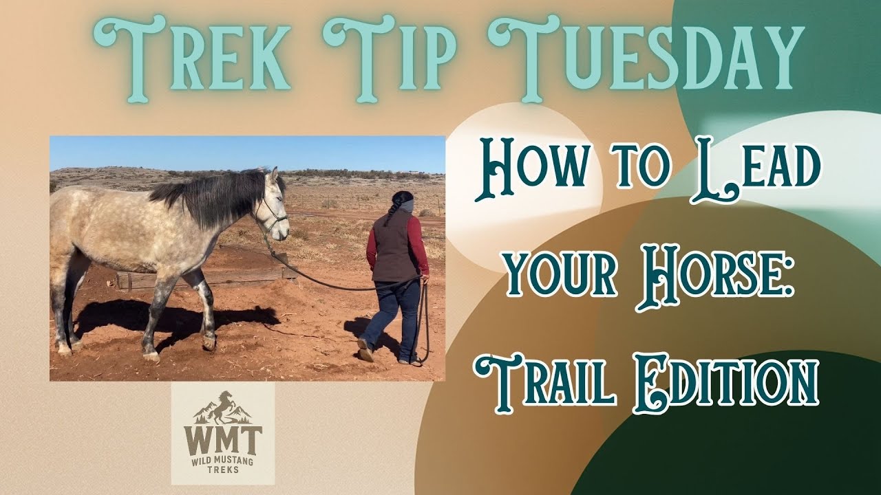 TTT: How To Lead Your Horse - Trail Edition