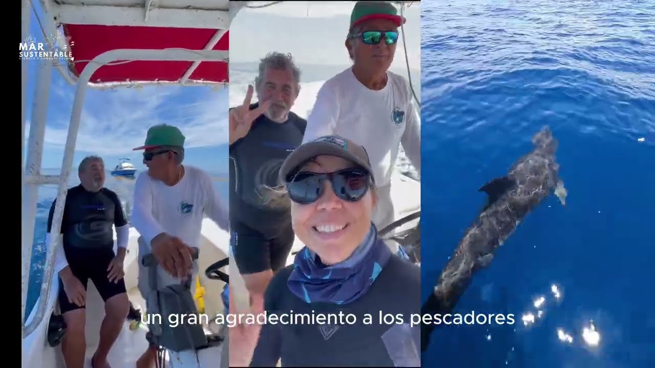 Documental Holbox tiburones y la gente del mar