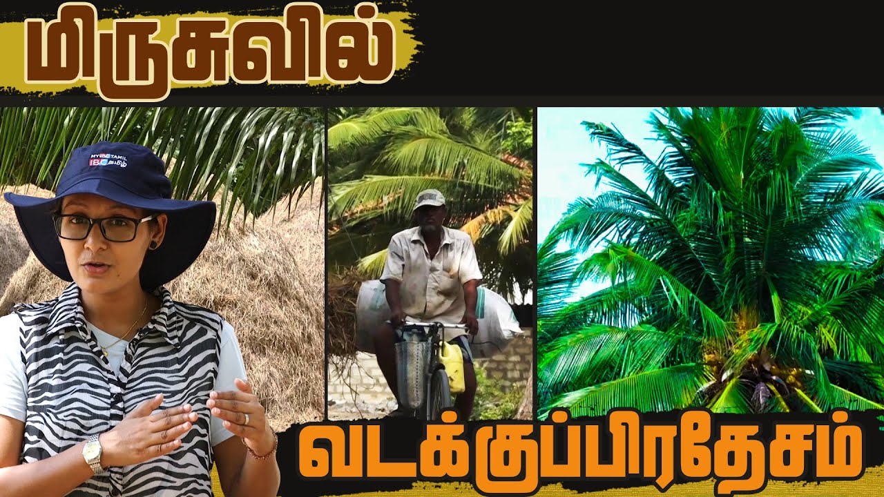 மிருசுவில் வடக்கின் கதைகள் | Mirusuvil North| Vanakkam Thainadu