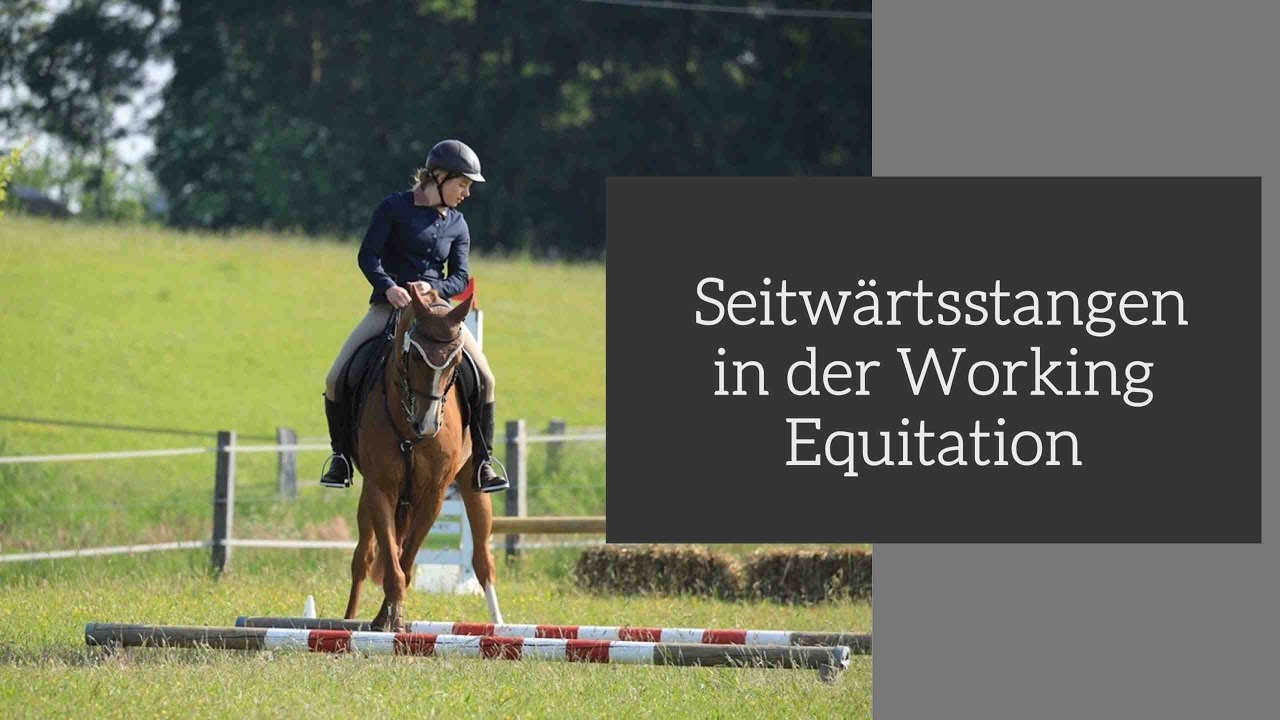 Seitwärtsstangen in der Working Equitation