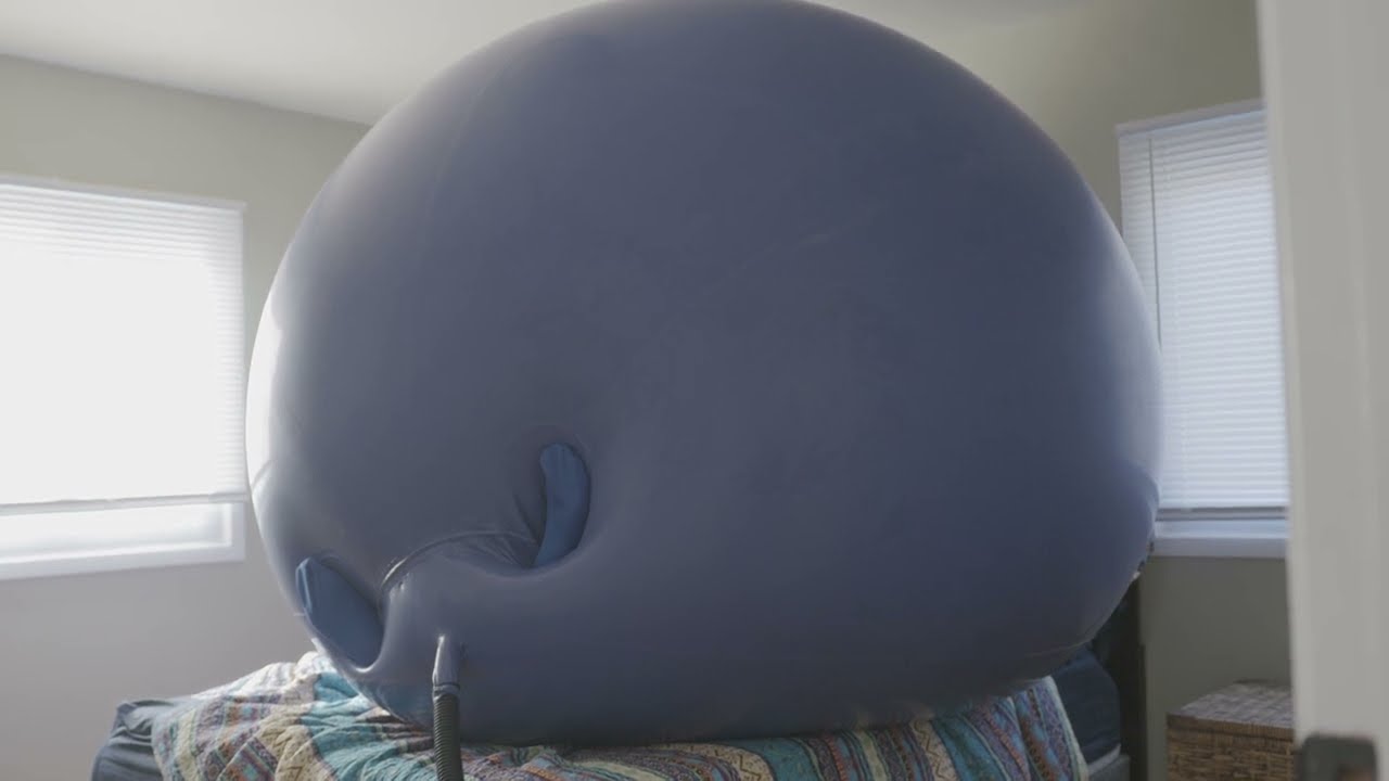 He Wore a Blueberry Suit...and Almost Touched The Ceiling!