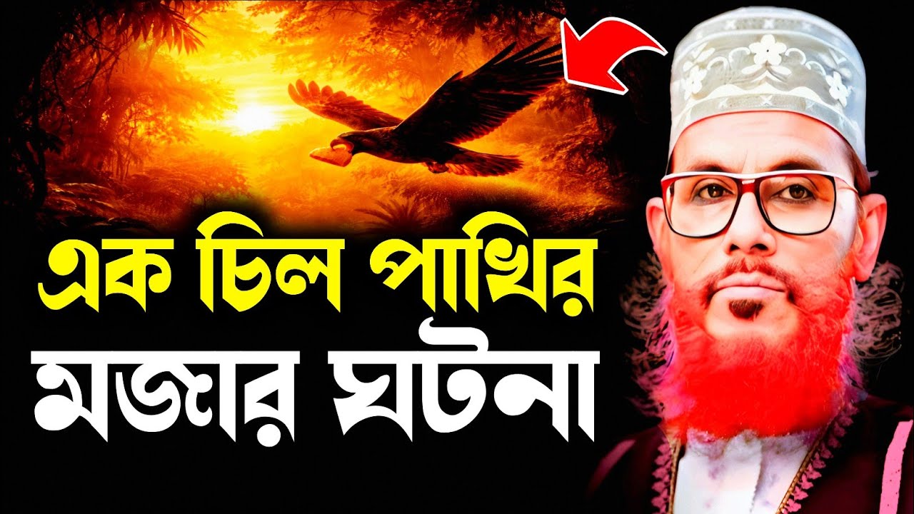 এক চিল পাখির মজার ঘটনা তাফসির | Delwar Hossain Sayeedi | Saidi Lecture | Saidi Waz Mahfil