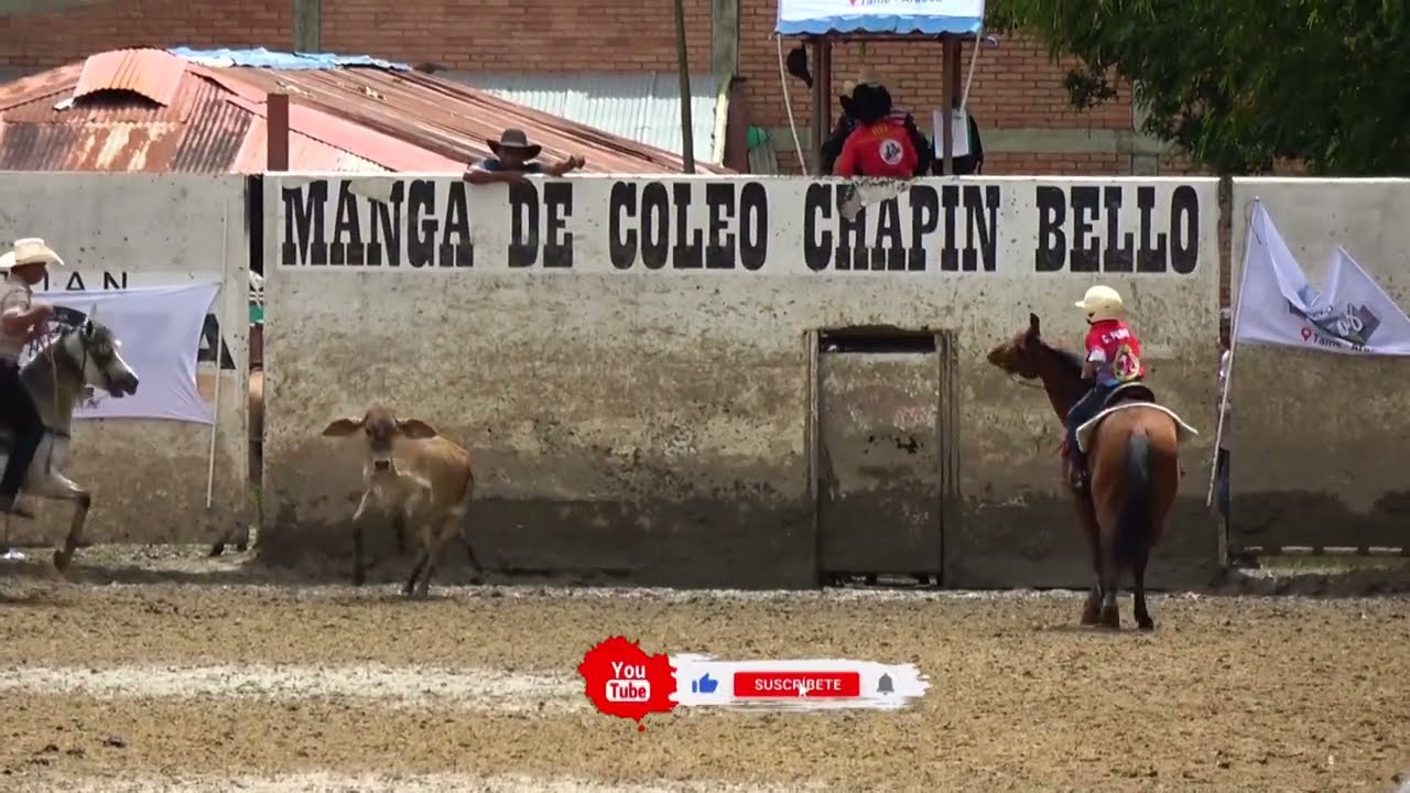 Categoría SUB 12,en el 7 aniversario de la escuela de coleo CALIFORNIA, los mejores momentos