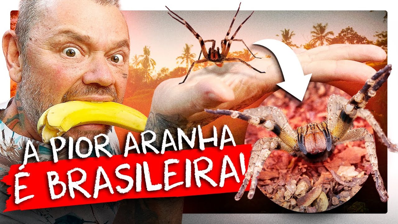 AS ARANHAS LETAIS DO CERRADO! | RICHARD RASMUSSEN