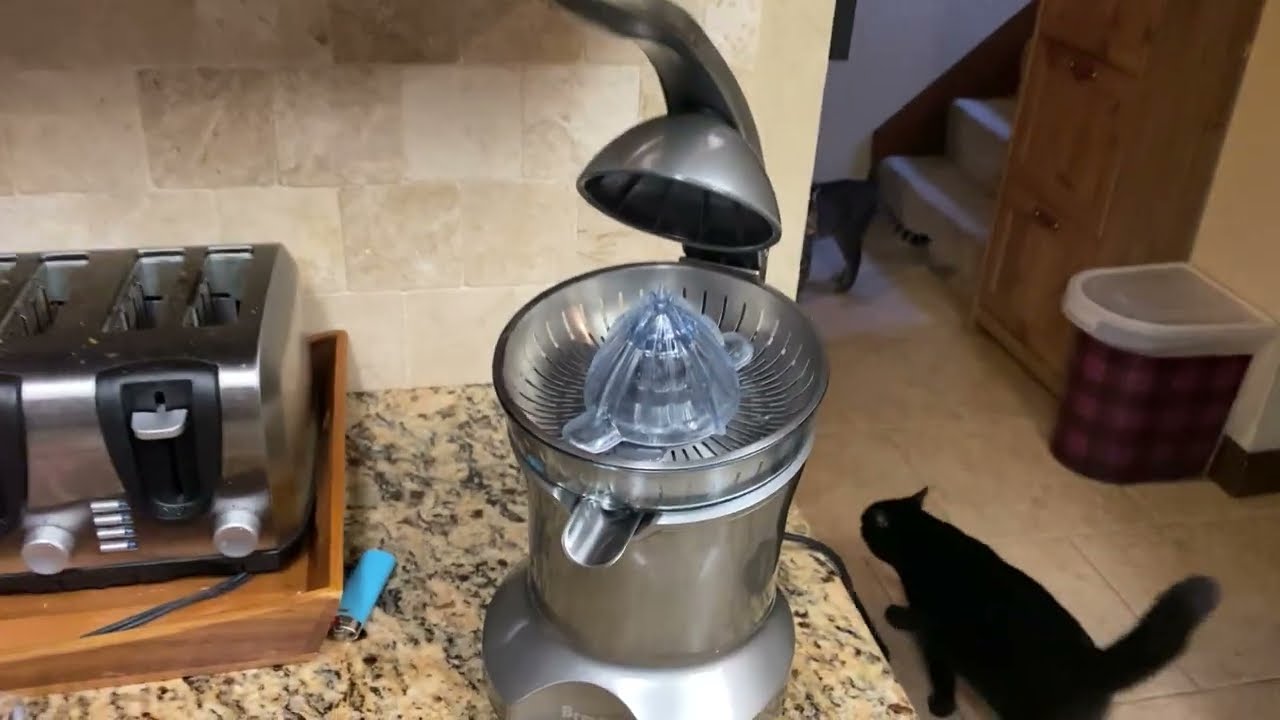 Breville Citrus Press Pro Electric Juicer || Rowdydawg's Honest Reviews